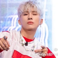 LÊ HỒNG SƠN