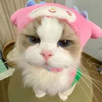 T/g pón pòn pon