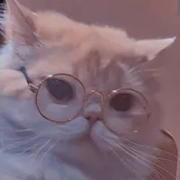 Hệ Thống - Meow