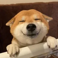 tác giả 