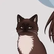 hệ thống 111( của Kaito)