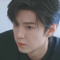 kĩ bắc thần ( anh trai nam chính)