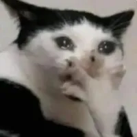 con tác giả😼