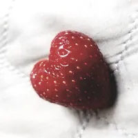 Chủ tọa nhà bánh ( t/g )