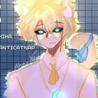 hiha anticatnap