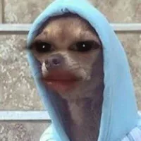 nhóm cuto hột me xí mụi ✨🎀