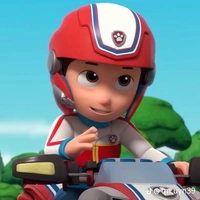 Ryder(anh)