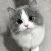 hệ thống ( tilo )