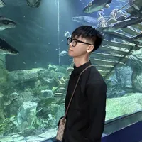 Hoàng Anh