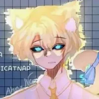 Hiha Anti Catnap