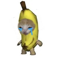 t/g