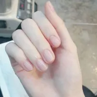 tác giả nòa