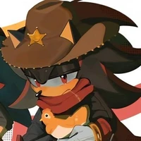 outlaw shadow
