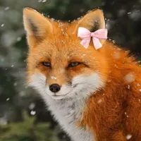 Tiểu Hồng ( khi hiện nguyên hình )