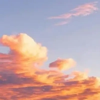 Trúc Anh