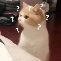 𝚖𝚎