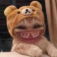 hệ thống