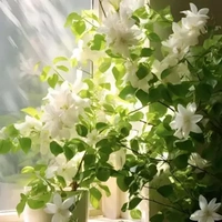 All (trừ ai thì trừ)