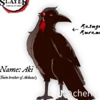 Aki