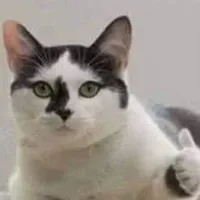 đứa phía trên [ ở trên con ngồi cạnh ]