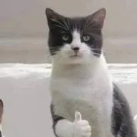 thằng ngồi cạnh [ ngồi cạnh phía trên ]