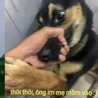 thằng ngồi bàn đầu