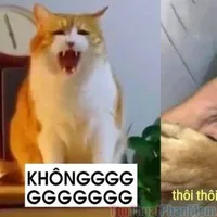 đứa ngồi cạnh thằng bàn đầu