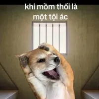 thằng ngồi cạnh con ngồi cuối tổ 2