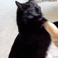 Khang(Thg học bá)