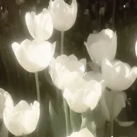Hệ thống