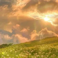 Các nhân vật phụ ( Nam phụ , Nữ phụ)