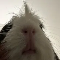 Lớp trưởng của chuyện