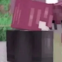 h1h4