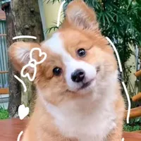 My name is Peter(tác giả)