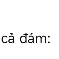 cả đám💞