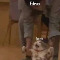 Con này là tác giả nha:))