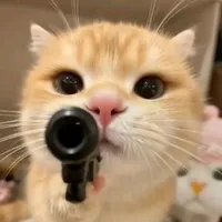 Tác giả đẹp zaii