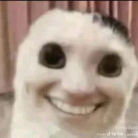 mọi người(trong lớp)