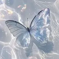 Yi - hệ thống 001