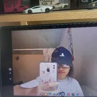 Haam giống Lâm Anh