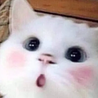 T/g kiêm hệ thống(yurino aikiko)