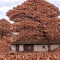 all(- ai thì trừ)