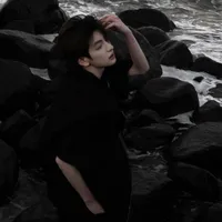 Hong Aries