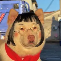 Cá 🐟/ vợ cứt