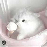 Hạ Nhất Hy ( bé thỏ )