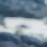 ？？？