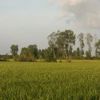 Quản Lý Garden