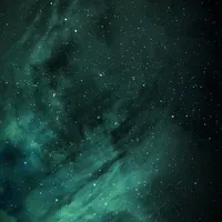 ¿¿¿