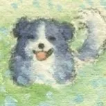 nijiro