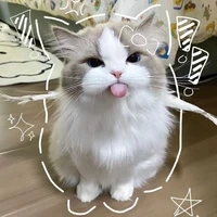 Hệ thống/Tiểu Hắc